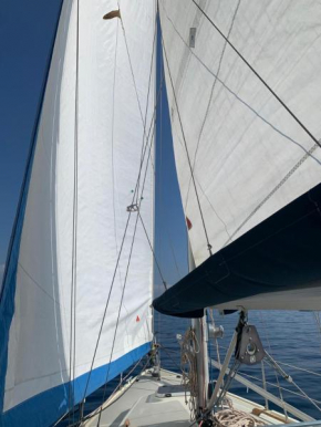 sailing&stay - a night onboard with your sailing experience